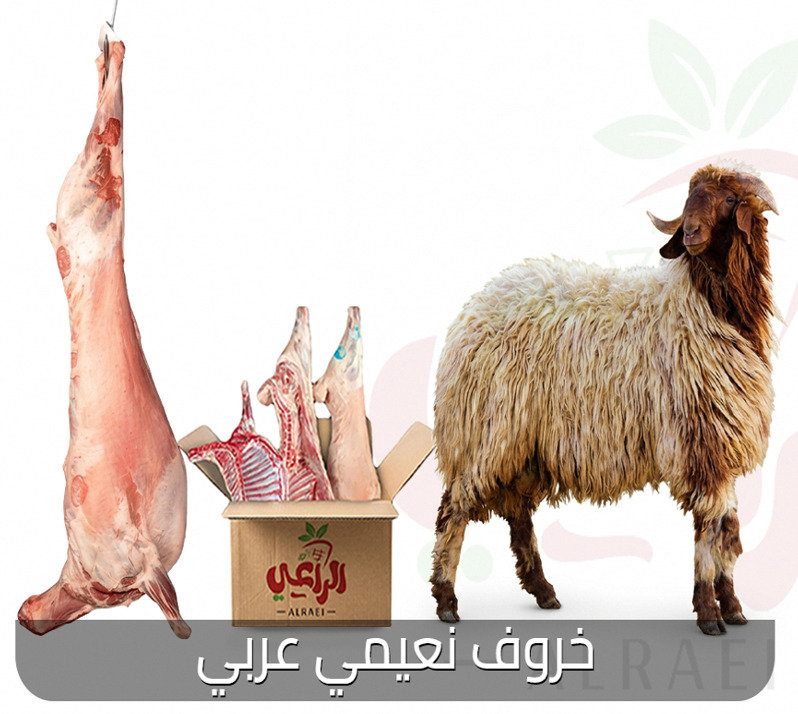 توصيل ذبايح الظهر